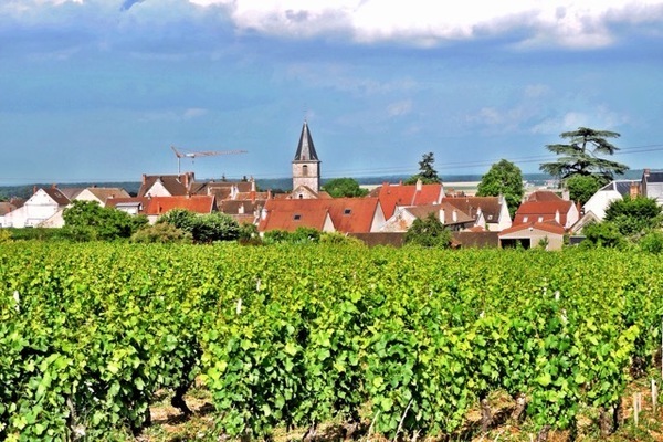 10 motivos para ir a Bourgogne