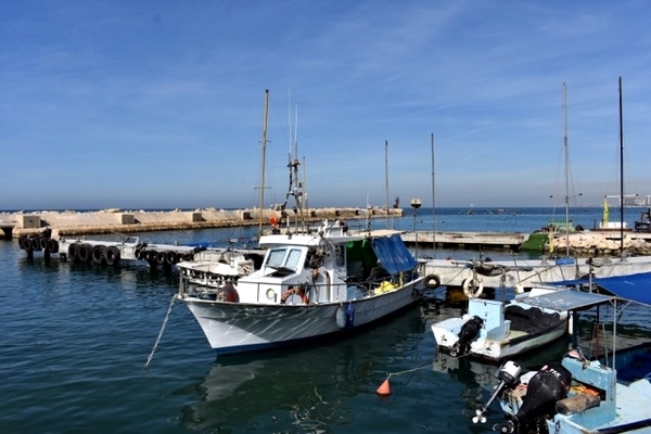 Porto de Jaffa