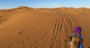 Tour no Deserto do Sahara, Marrocos