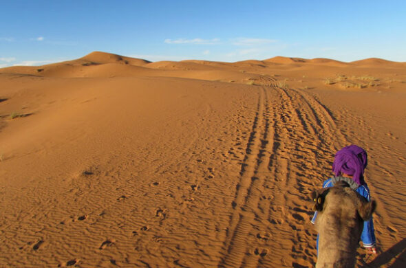 Tour Deserto Sahara