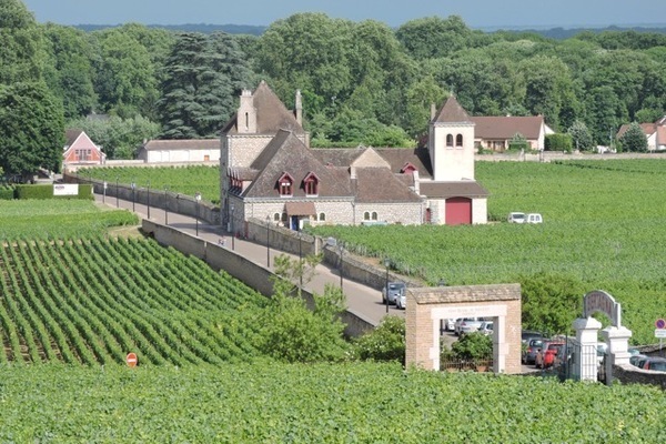 10 motivos para ir a Bourgogne