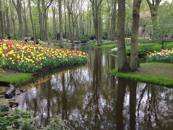 Um rio cruaz o parque das tulipas e deixa a paisagem ainda mais bonita