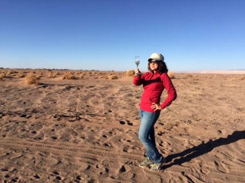 O que fazer no Atacama