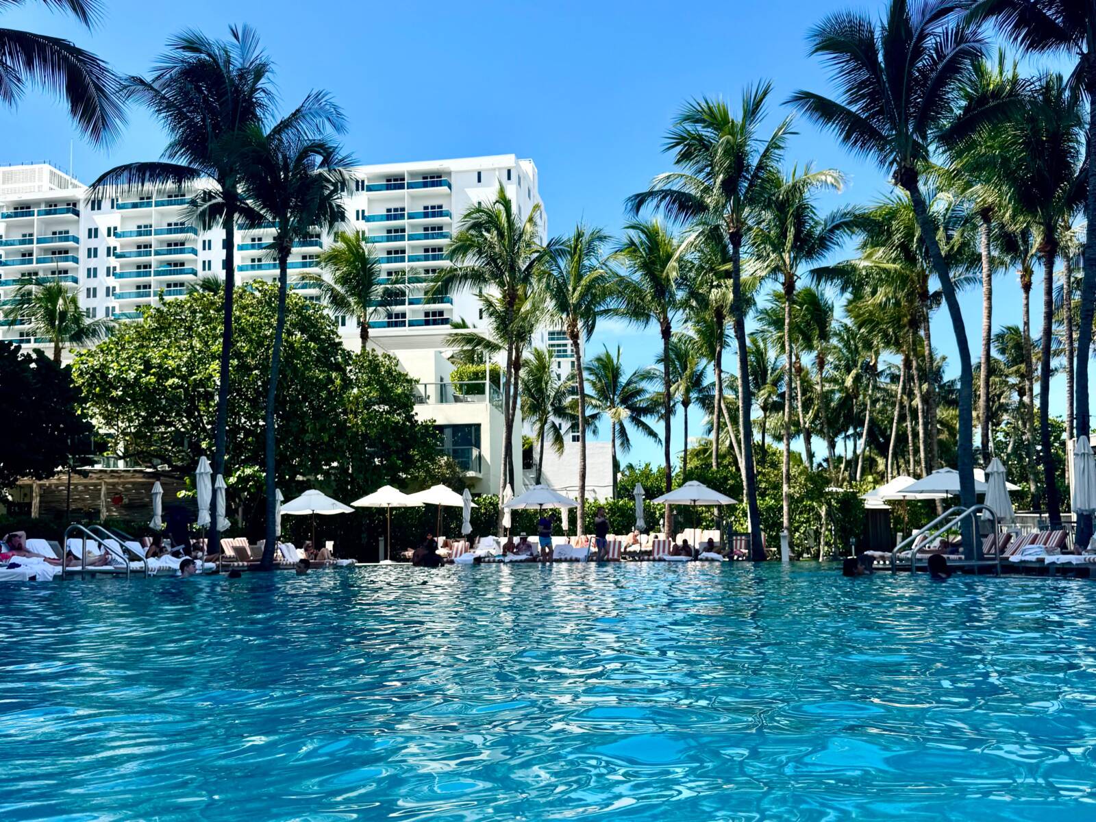 Top 11 hotéis em South Beach | Dicas de Miami