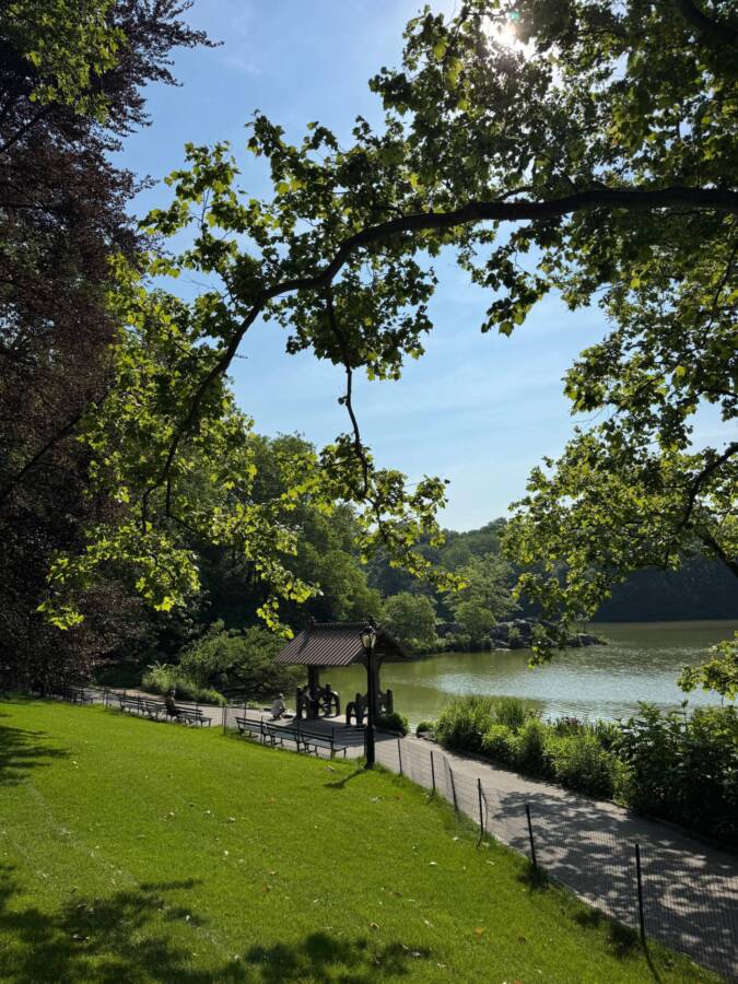 Central Park NY