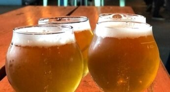 Top 5 cervejarias em Boston | Dicas dos EUA