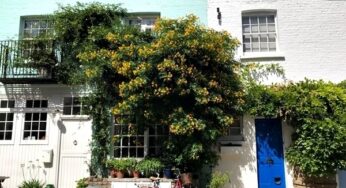 10 dicas de Notting Hill, em Londres