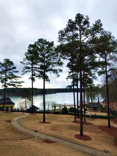 resort à beira do lago na Georgia 