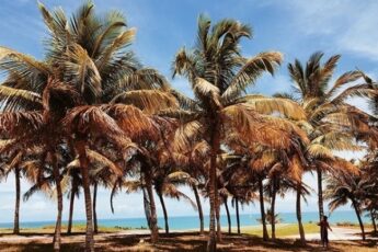 Destinos de praia no Brasil para as férias