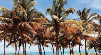 Top destinos de praia no Brasil para as férias