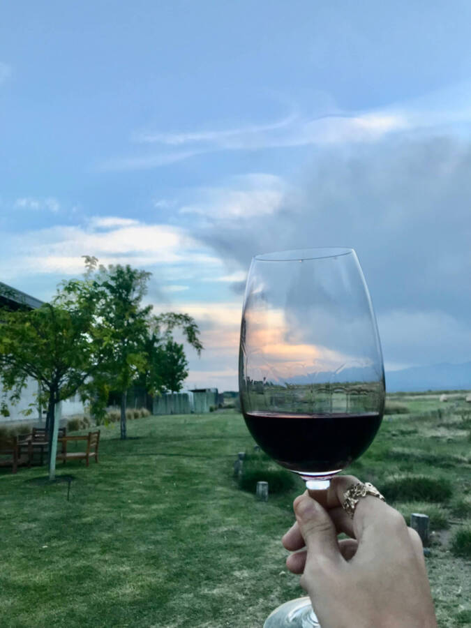 vinícola em Mendoza