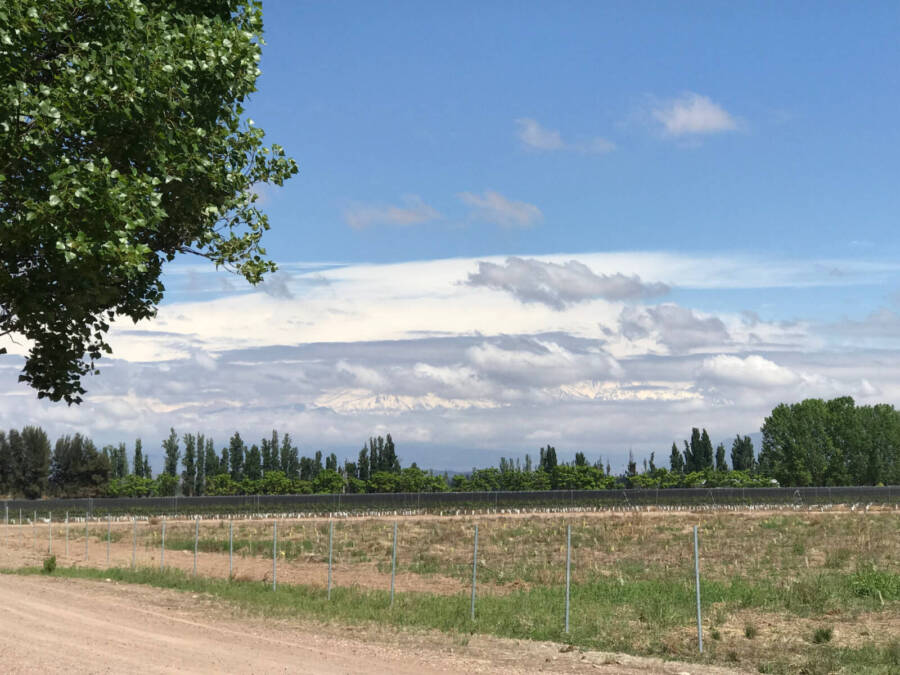 Vinícola Tapiz em Mendoza