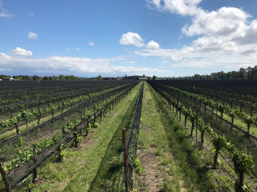 Vinícola Tapiz em Mendoza
