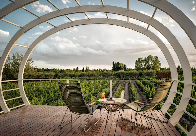 entre cielos wine