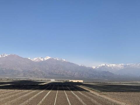 5 passeios na Rota do Vinho, em Mendoza