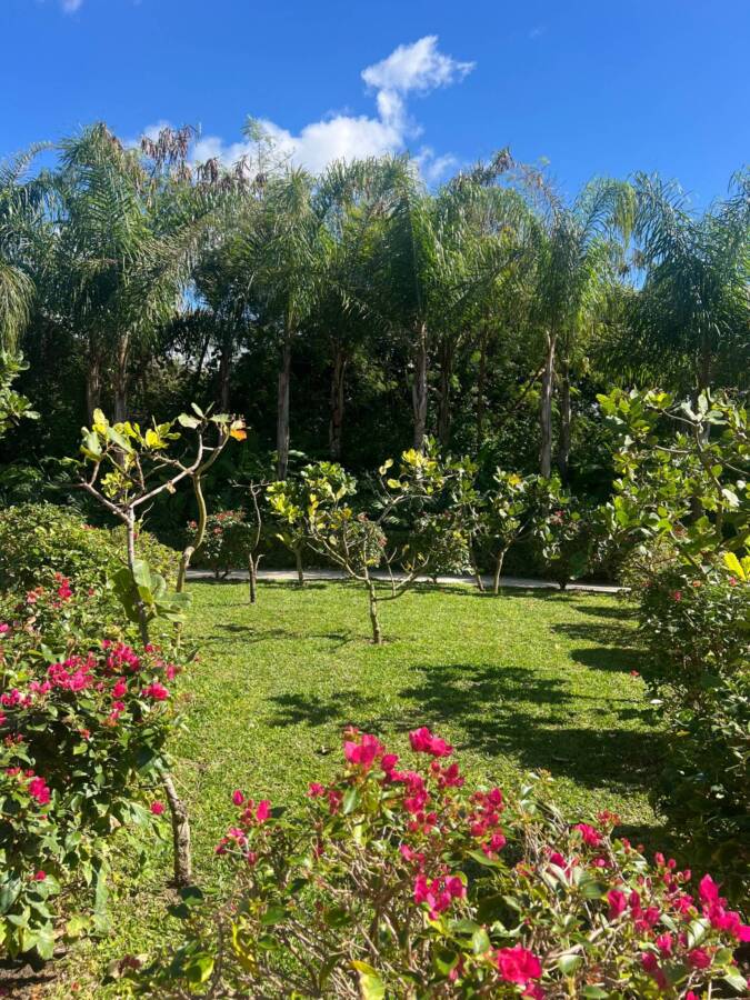 jardim do resort em Buzios