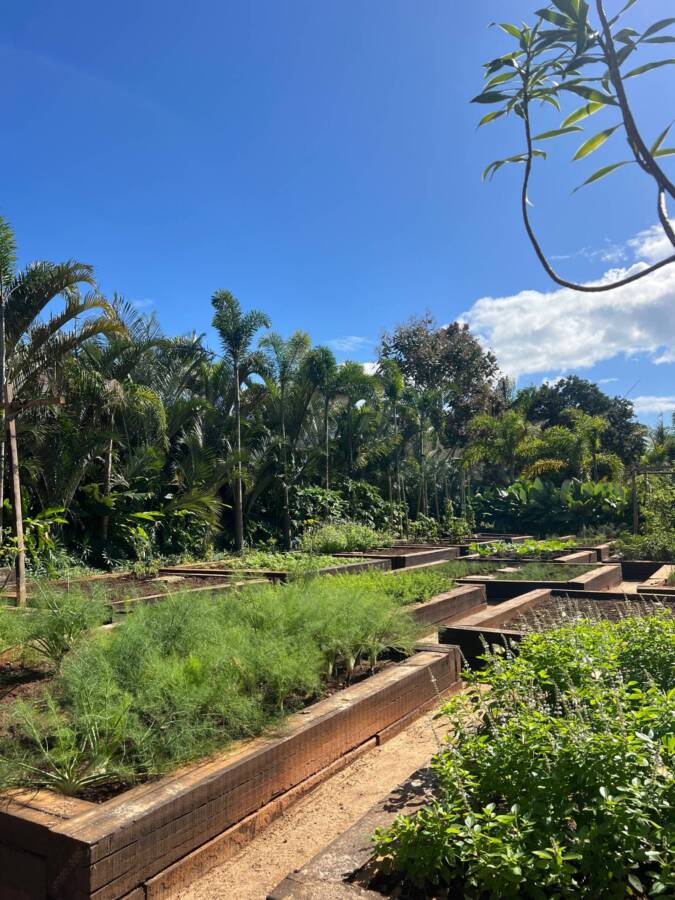 jardim resort zendaya