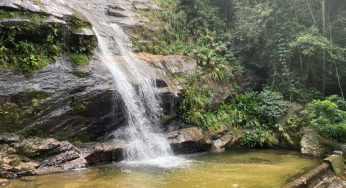 Como é fazer uma trilha na Floresta da Tijuca