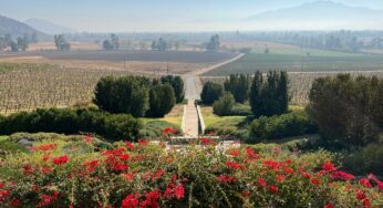 5 vinícolas no Vale do Maipo, no Chile