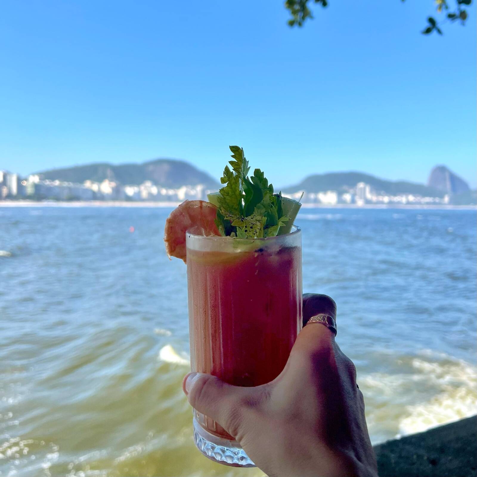 13 incríveis lugares para ver o pôr do sol no Rio e tomar um drinque