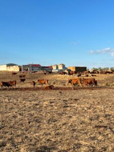 hotel Relais&Chateau no Alentejo