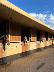 hotel Relais&Chateau no Alentejo