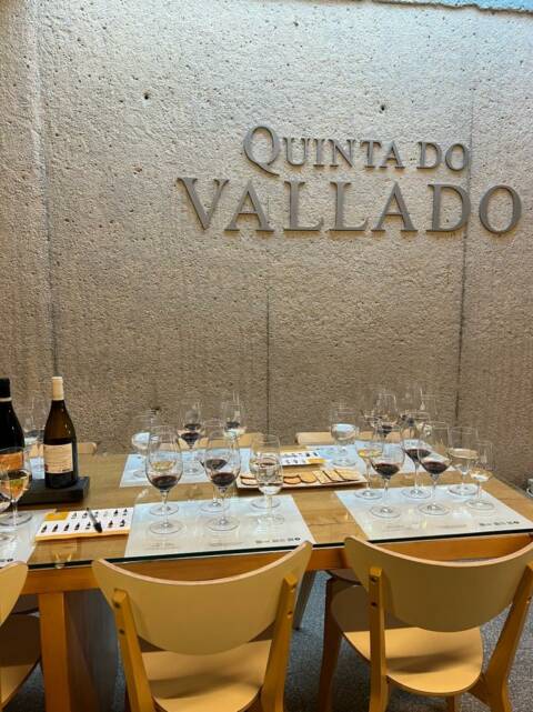 hotel boutique e vinícola no Douro