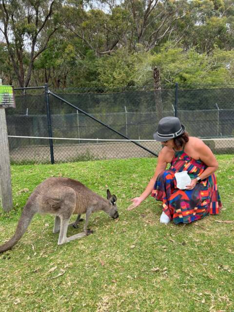 Onde ver canguru em Sydney
