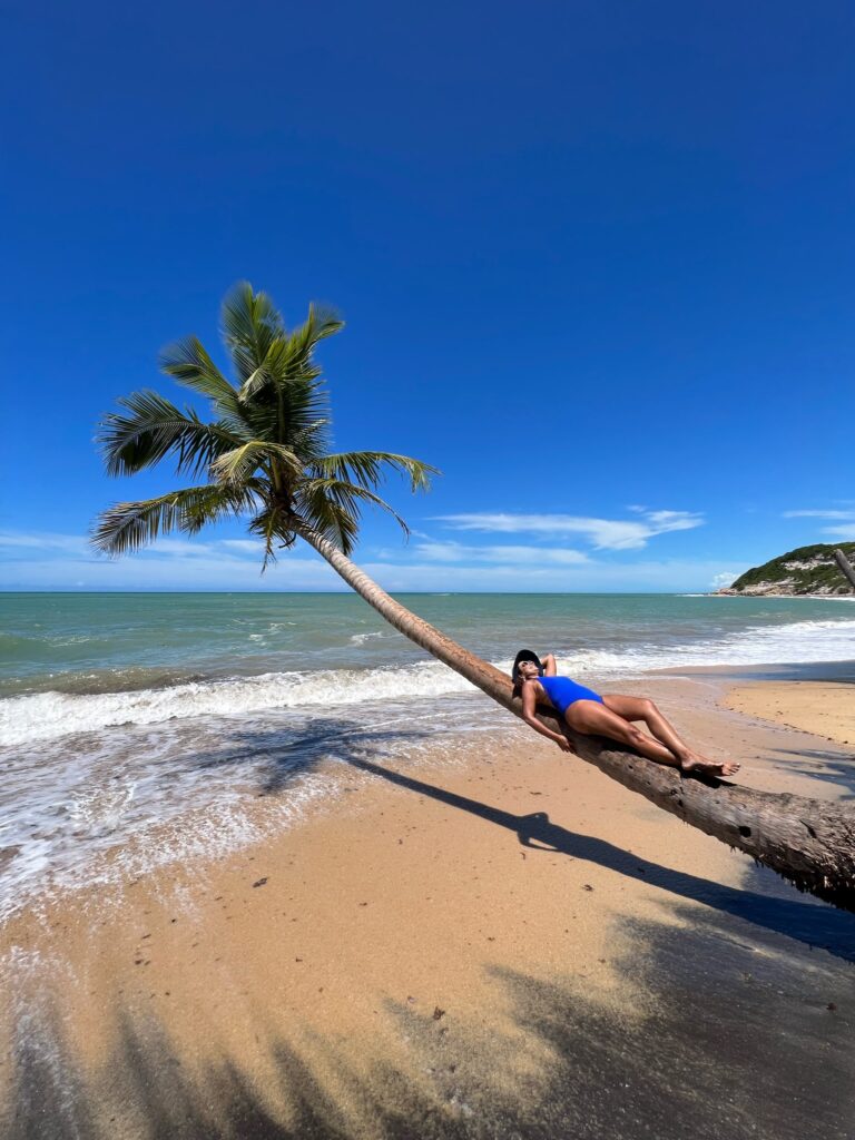 Coqueiros deitados das praias da Bahia