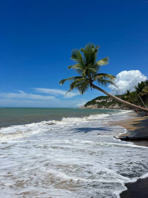 7 praias na Bahia para você conhecer