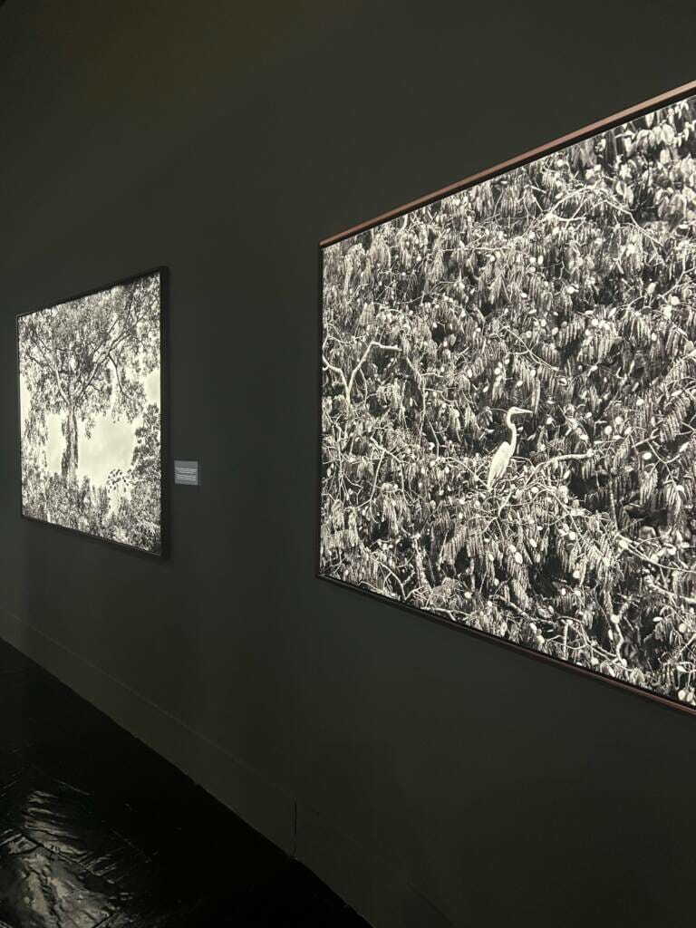 Exposição de Sebastião Salgado em Madri é composta por fotos em preto e branco