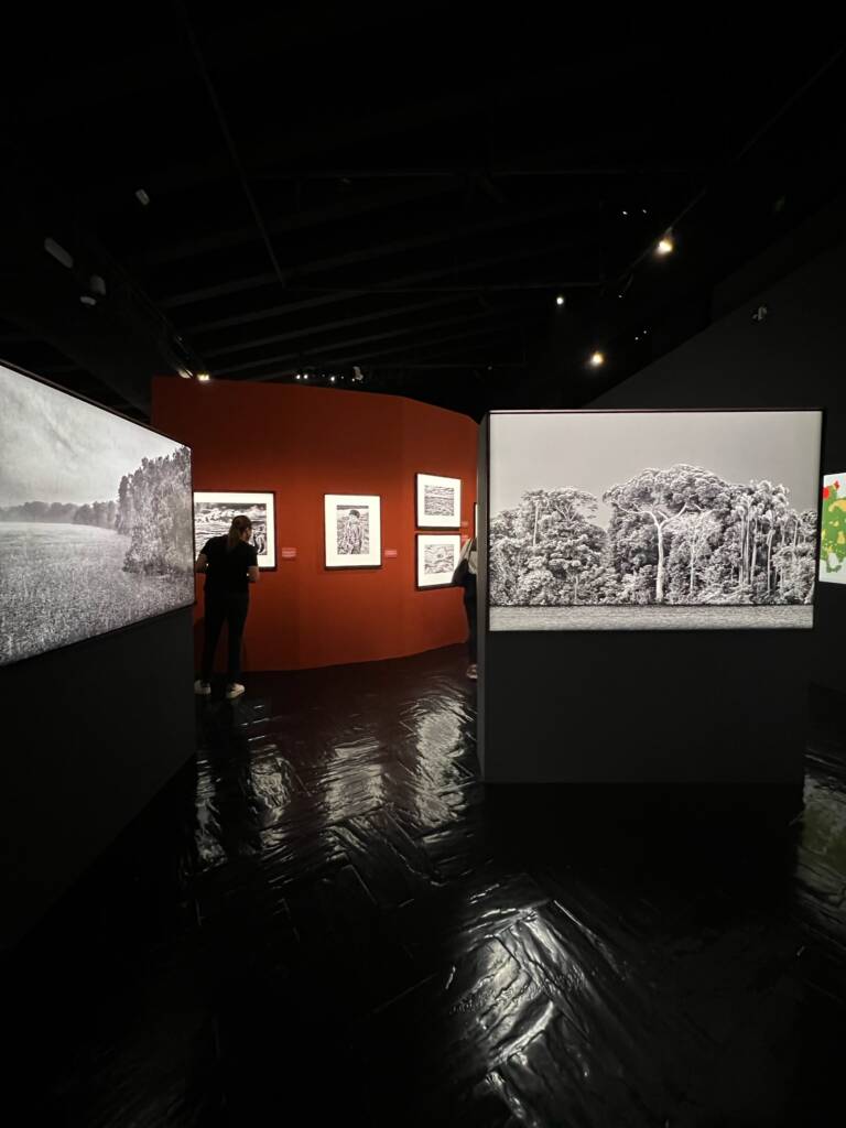 Exposição de Sebastião Salgado em Madri tem mais de 200 imagens em preto e branco