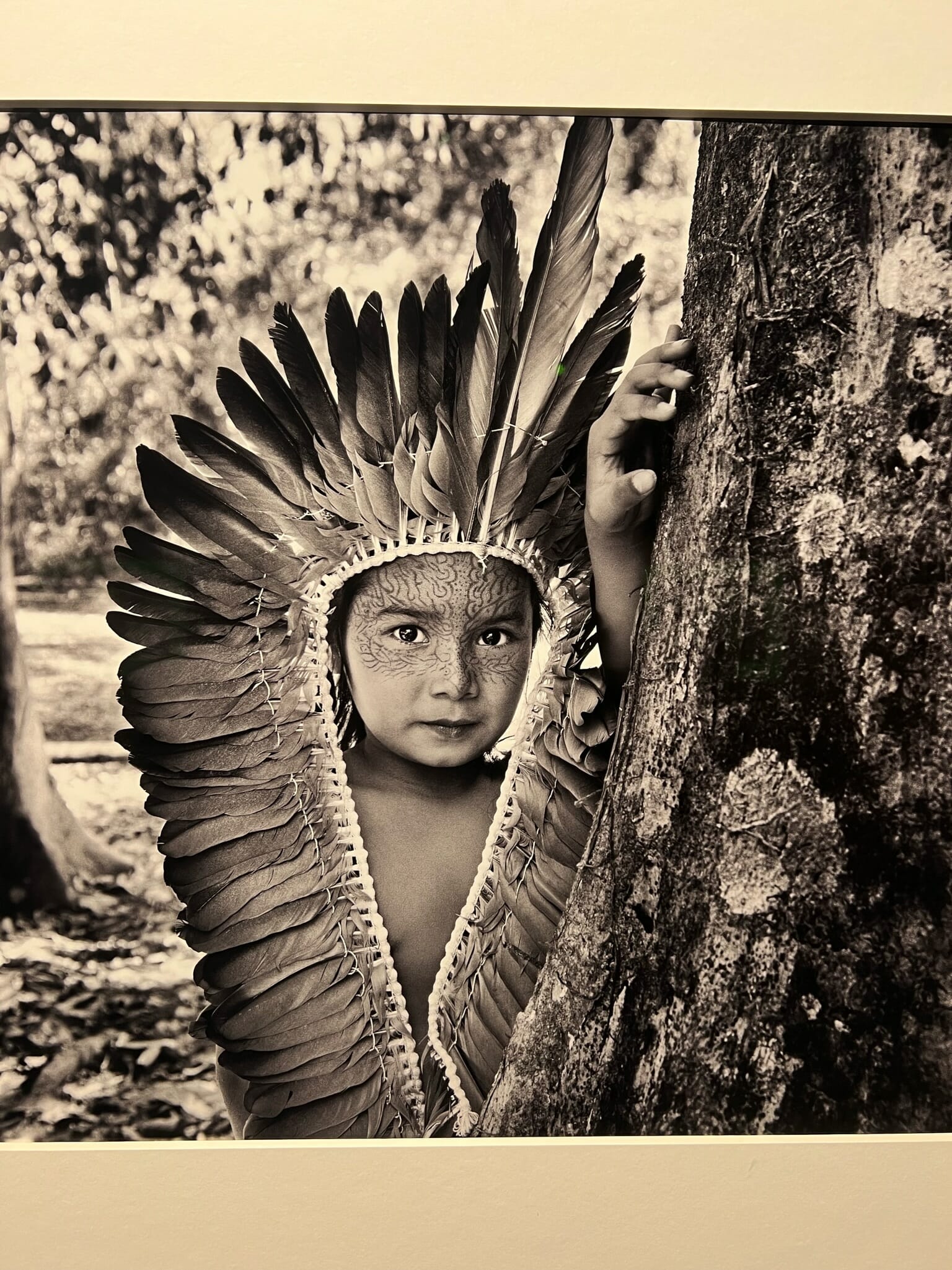 Amazônia: A grande exposição de Sebastião Salgado em Madri, no Centro Cultural De La Villa
