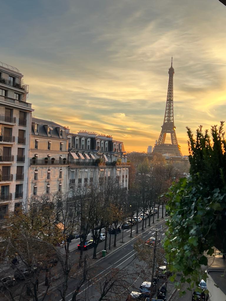 Vista da varanda do Hotel Plaza Athénée, hotel famoso de luxo em Paris
