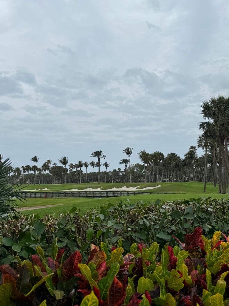 campos de golfe em palm beach