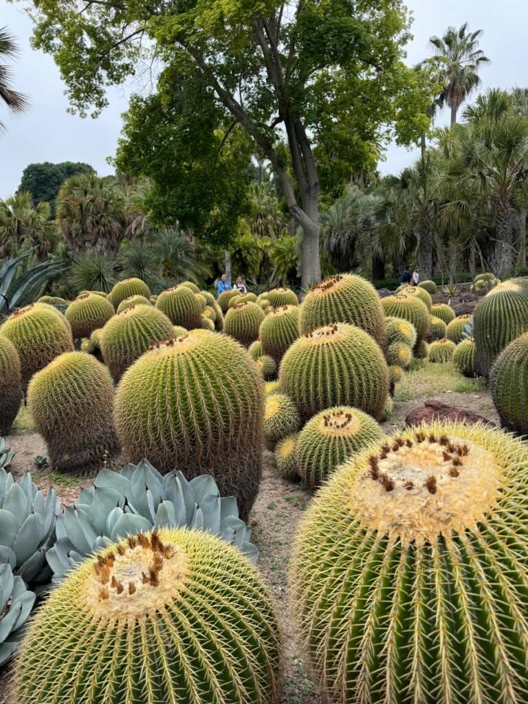 jardim botânico mais bonito da Califórnia