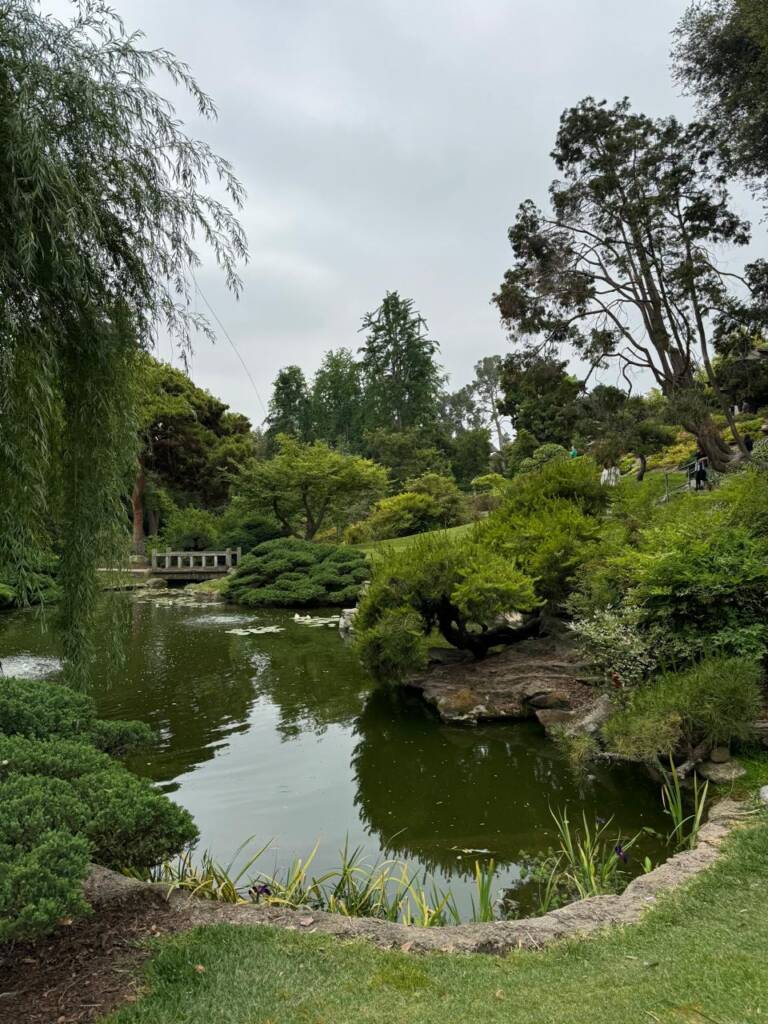 jardim botânico mais bonito da Califórnia