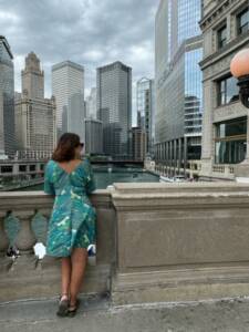 Ponte do Lincoln Park