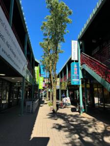 Ruas de Chinatown