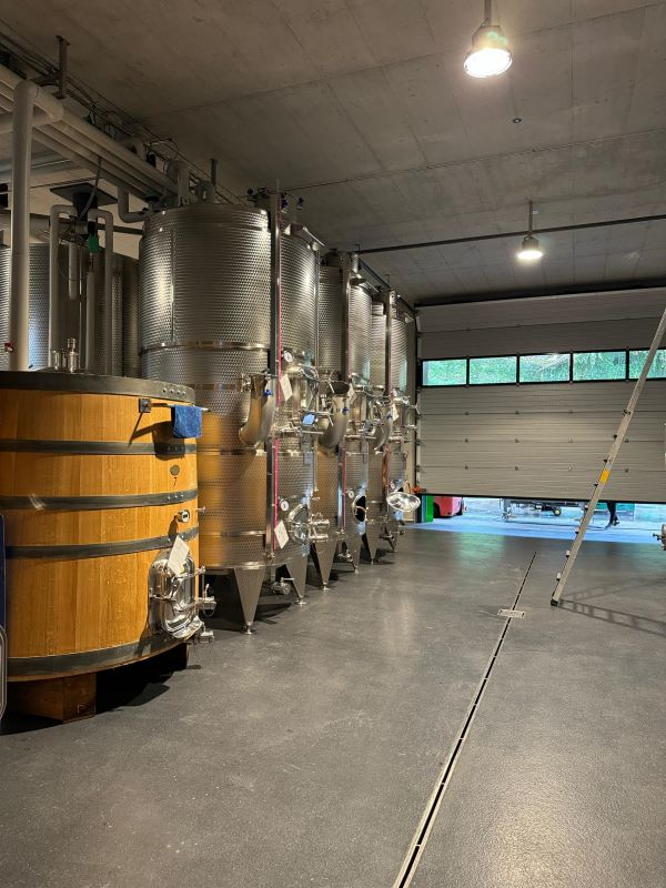Produção de vinhos do Tenuta Castello di Morcote
