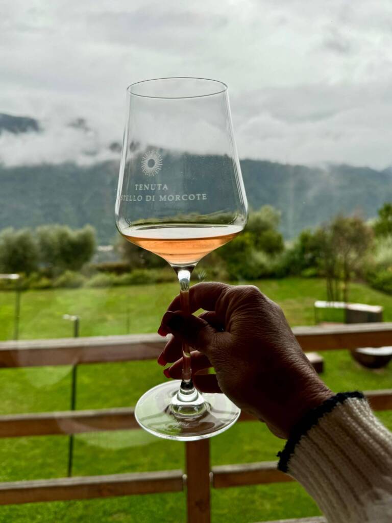 Vinho e linda paisagem