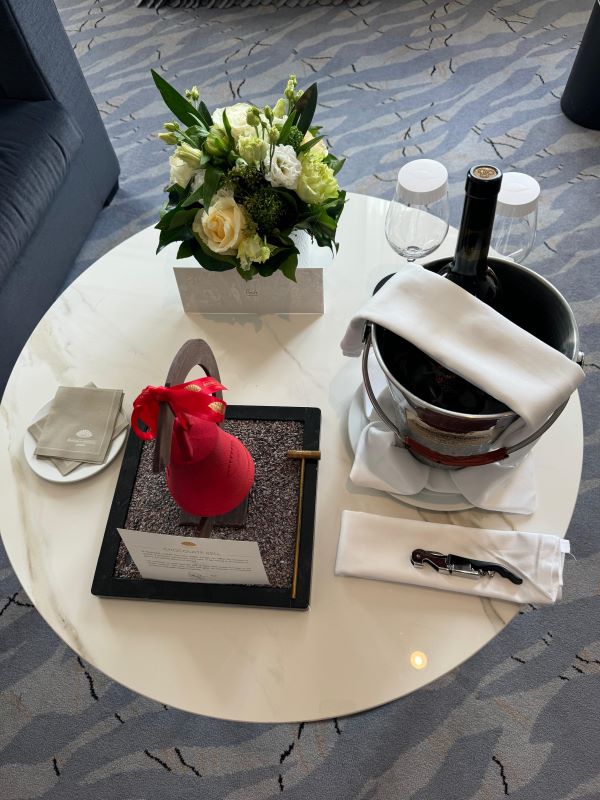 Luxo e aconchego no hotel 5 estrelas em Genebra