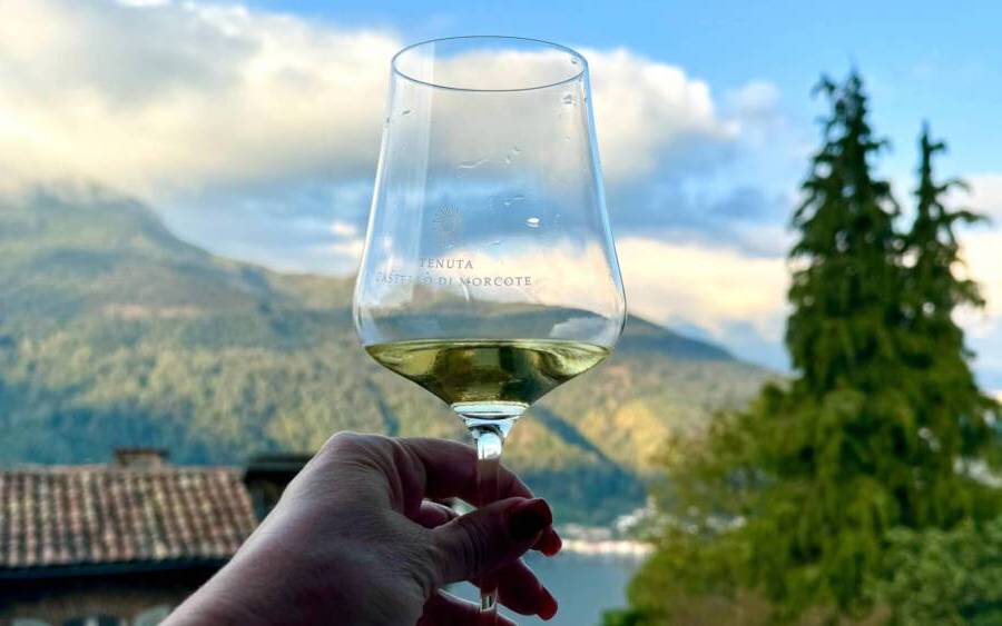 Enoturismo na Suíça: uma imersão pelos vinhos da parte francesa e italiana do país