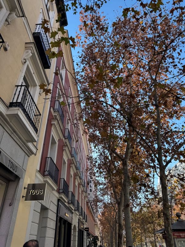 Calle Serrano