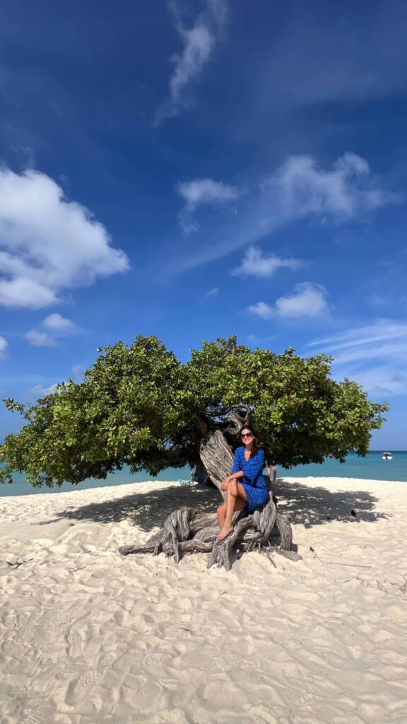 o que fazer em aruba  eagle beach