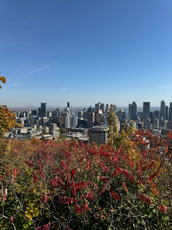 Parc du Mont-Royal