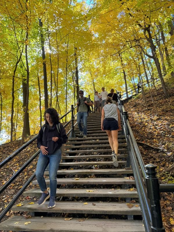 Parc du Mont-Royal