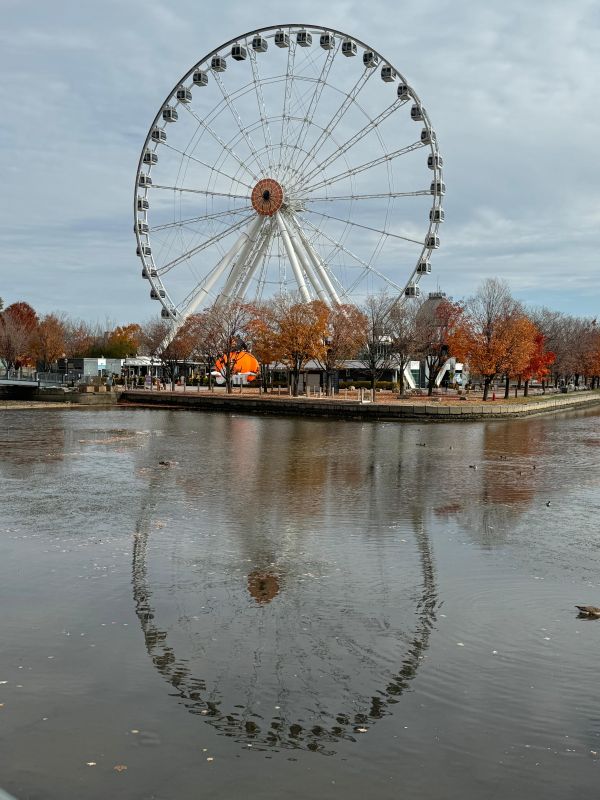 Vielle Ville