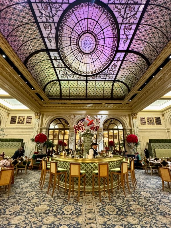 The Palm Court 
