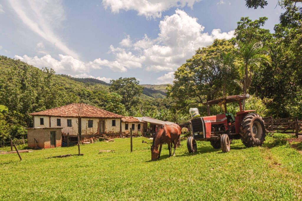 Rota do Queijo na Serra da Canastra